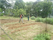 Orphanage Pasir Gudang